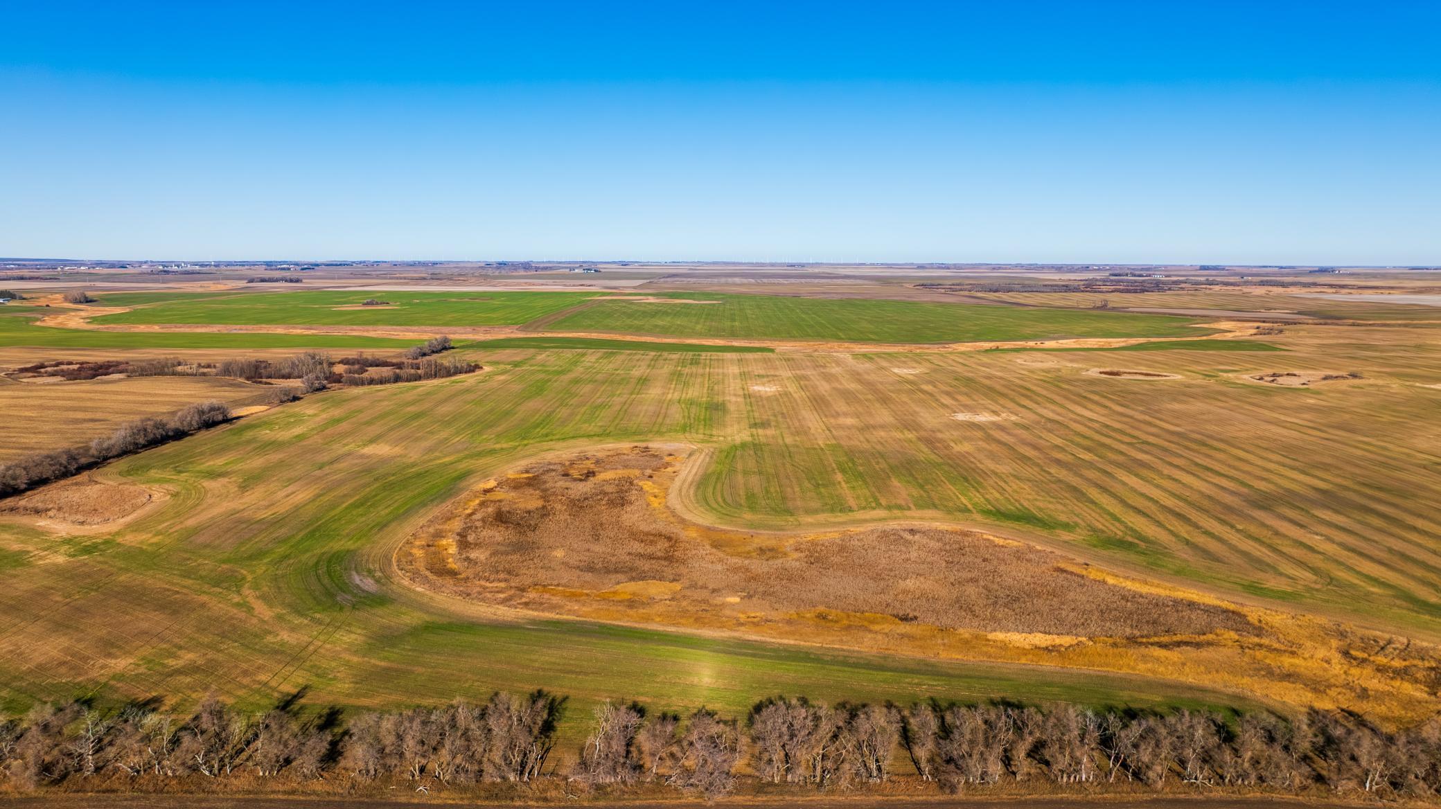 Amdak__Rolla ND (500 Acres)_0045.jpg