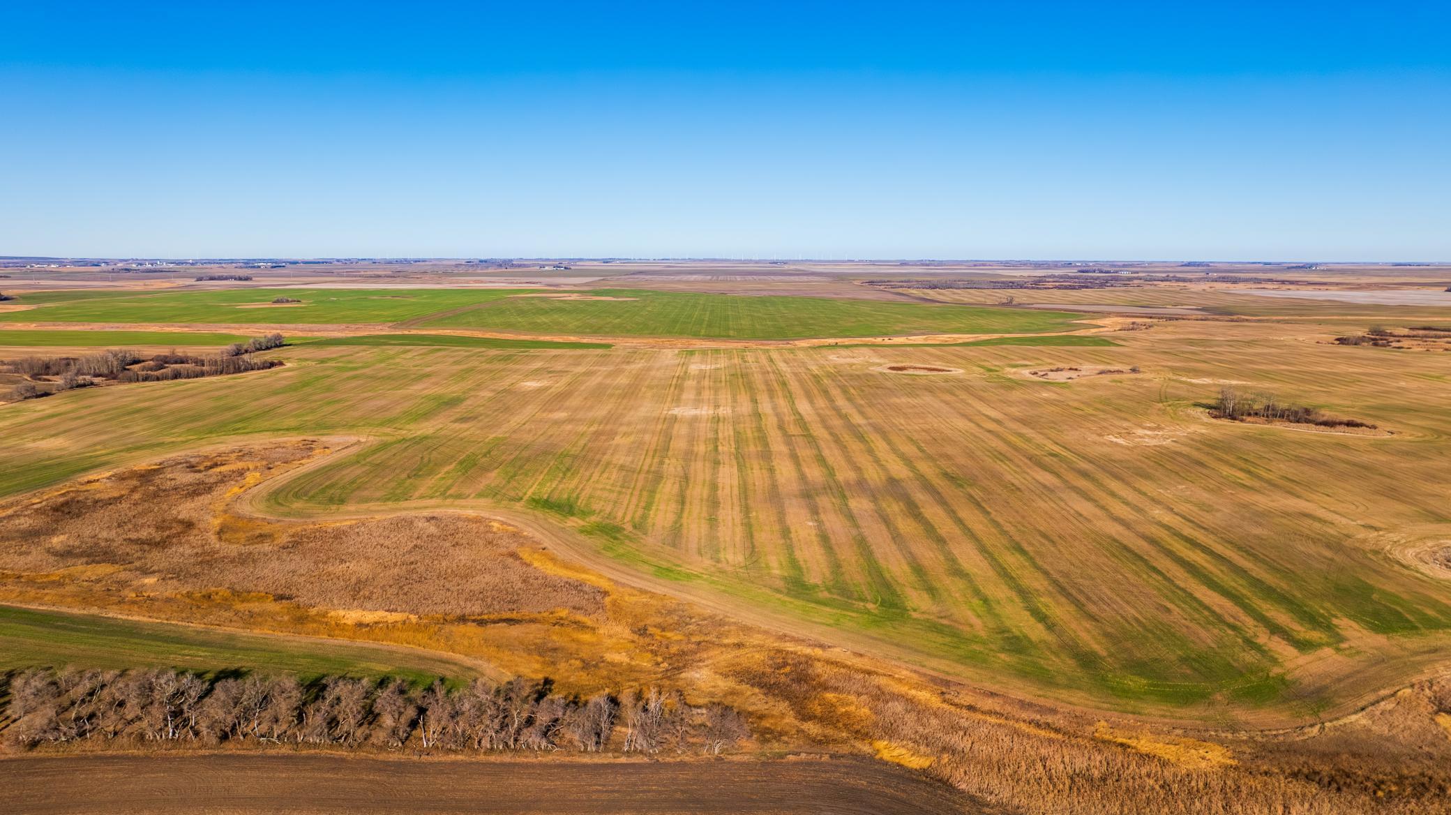 Amdak__Rolla ND (500 Acres)_0044.jpg