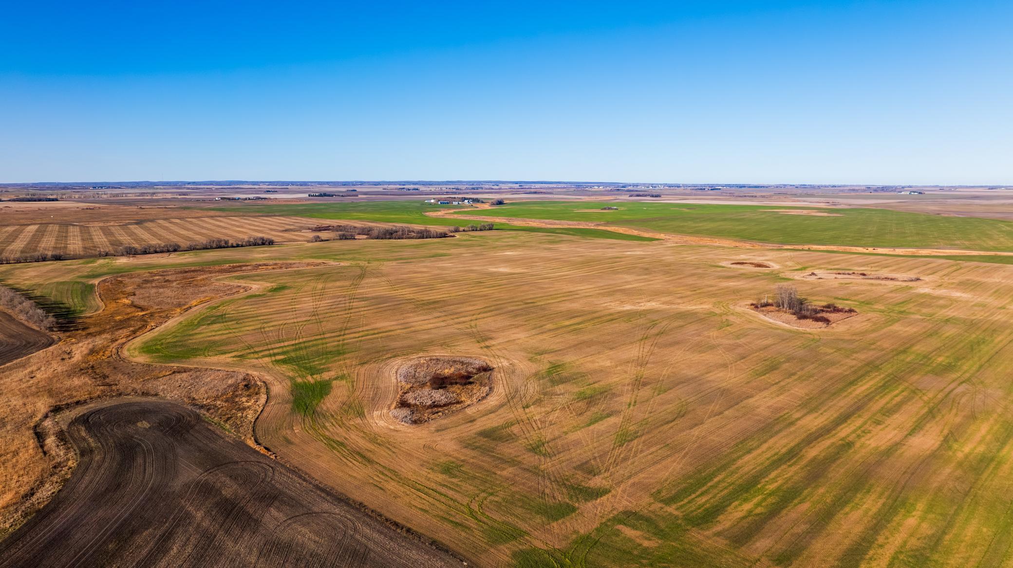 Amdak__Rolla ND (500 Acres)_0043.jpg