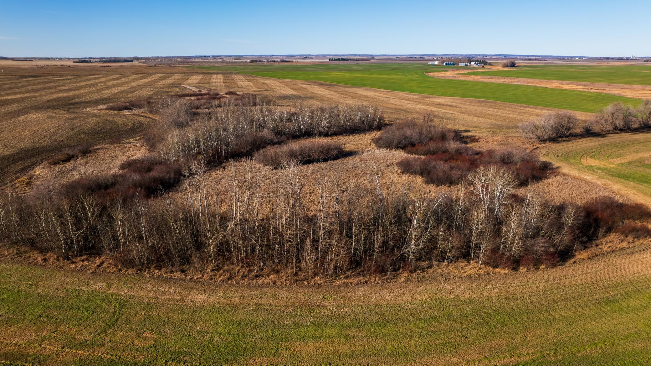 Amdak__Rolla ND (500 Acres)_0049.jpg