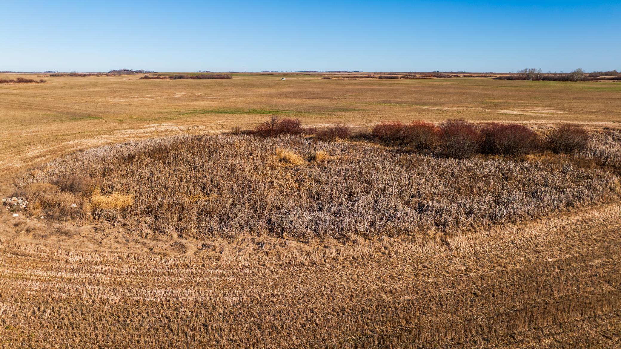 Amdak__Rolla ND (500 Acres)_0048.jpg