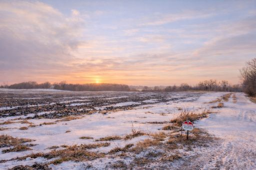 Chester Ave Driveway View