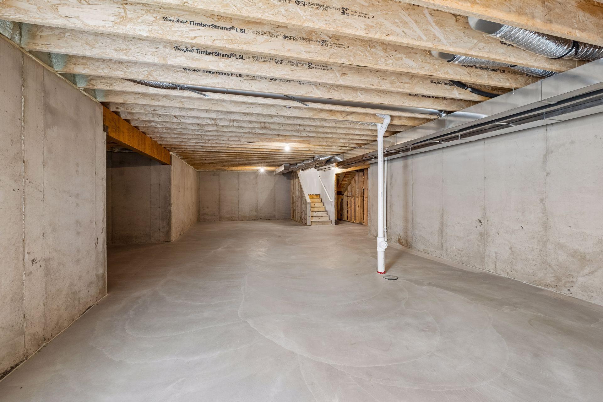 Unfinished Basement