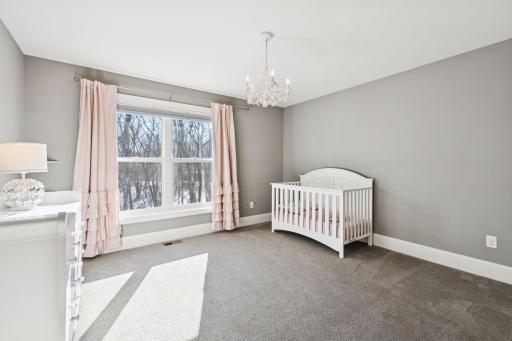 15525 52nd Place N, Minneapolis, MN 55446