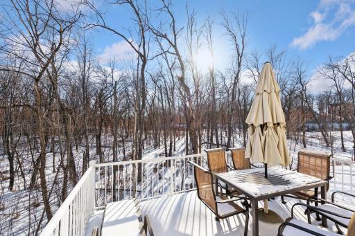15525 52nd Place N, Minneapolis, MN 55446