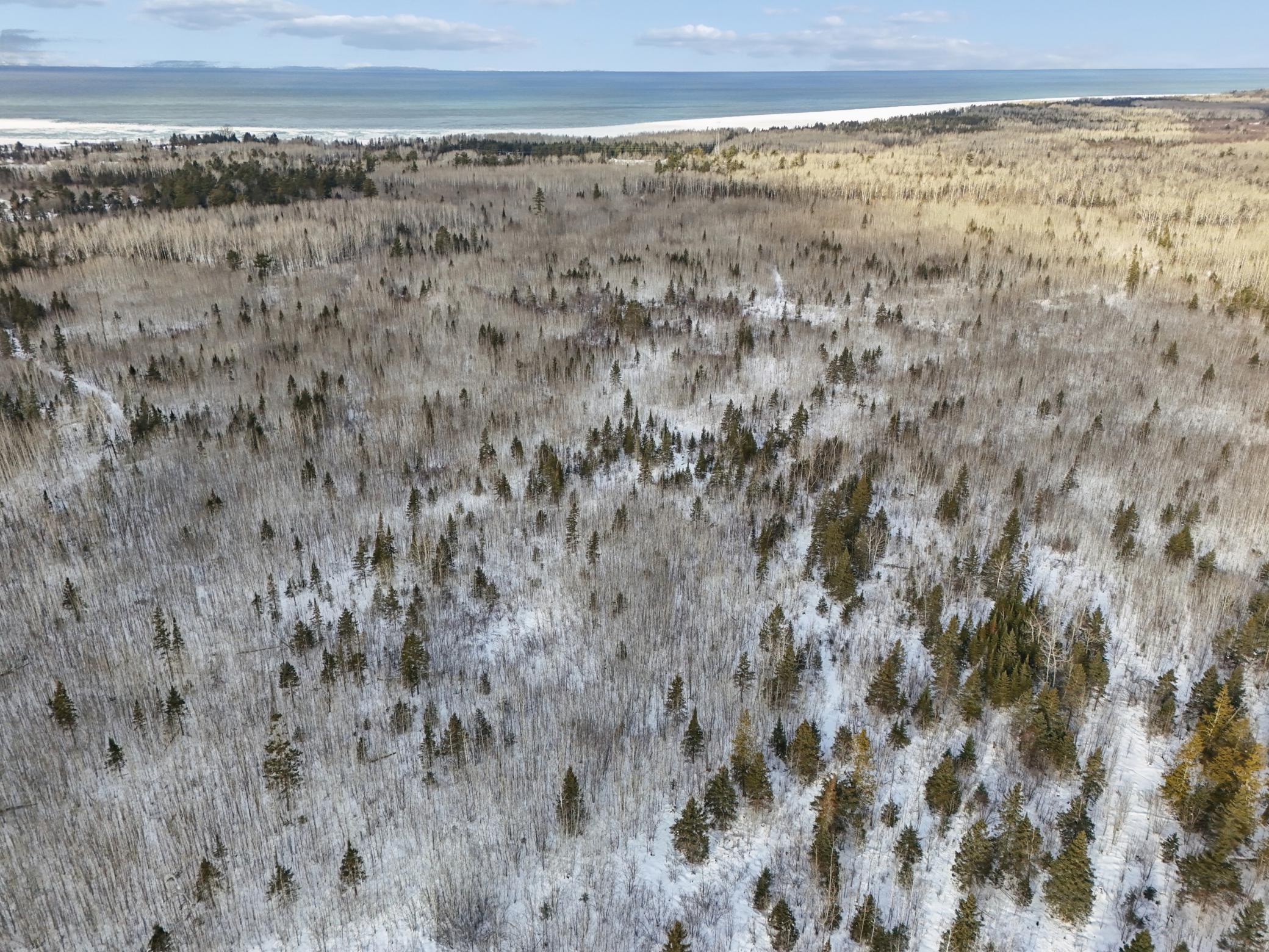 DJI_20260111132250_0124_D.jpg