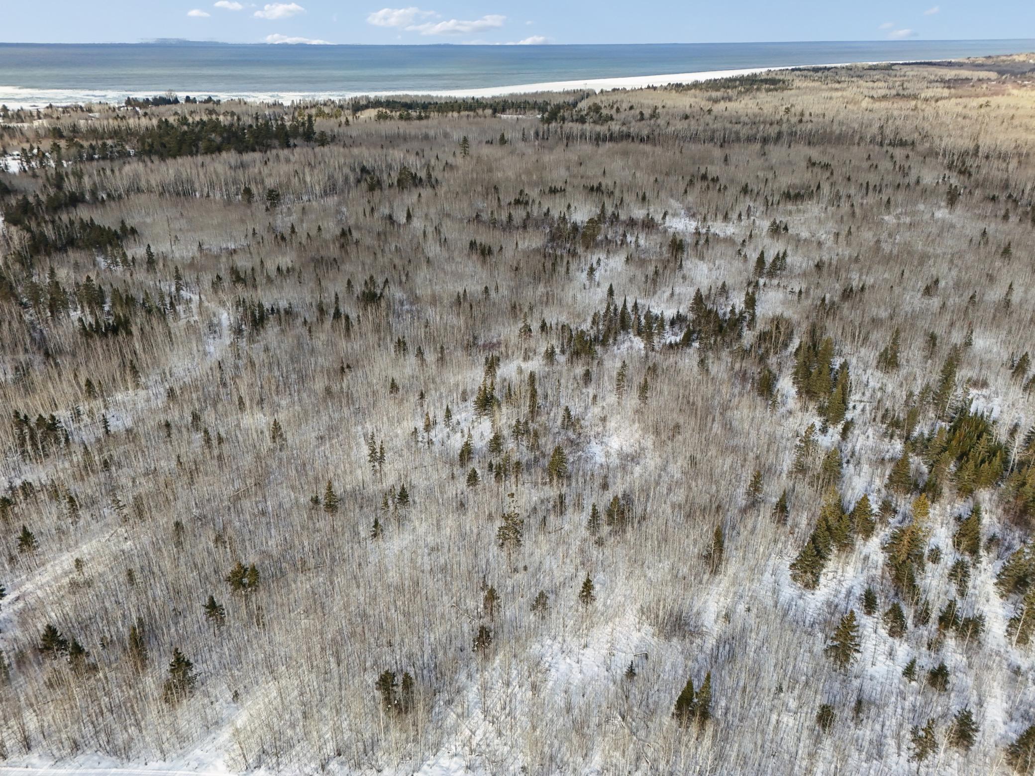 DJI_20260111132318_0125_D.jpg