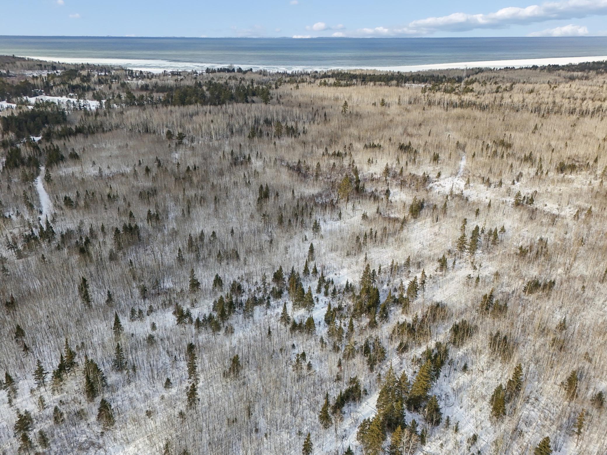 DJI_20260111132220_0123_D.jpg