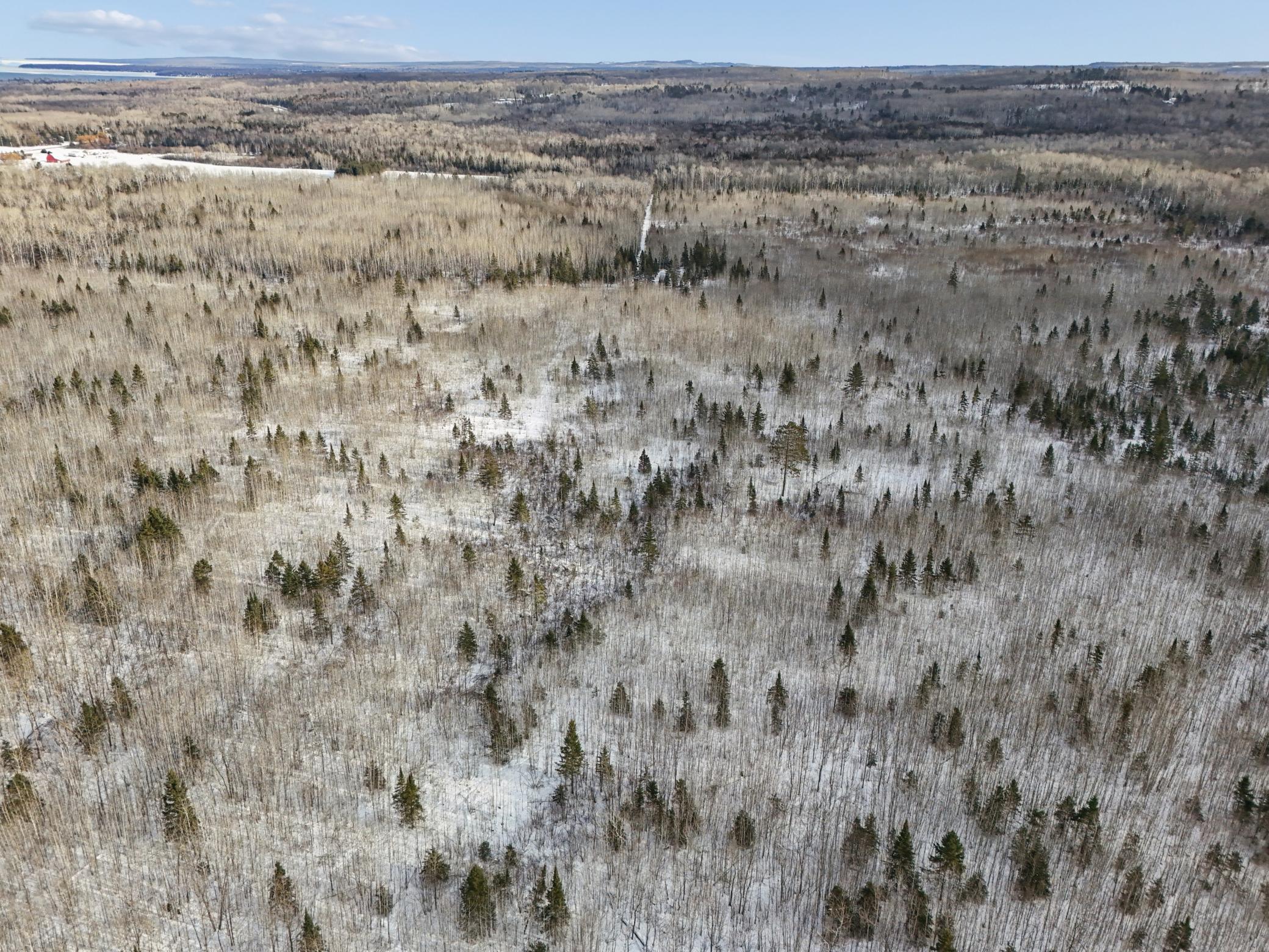 DJI_20260111132001_0119_D.jpg