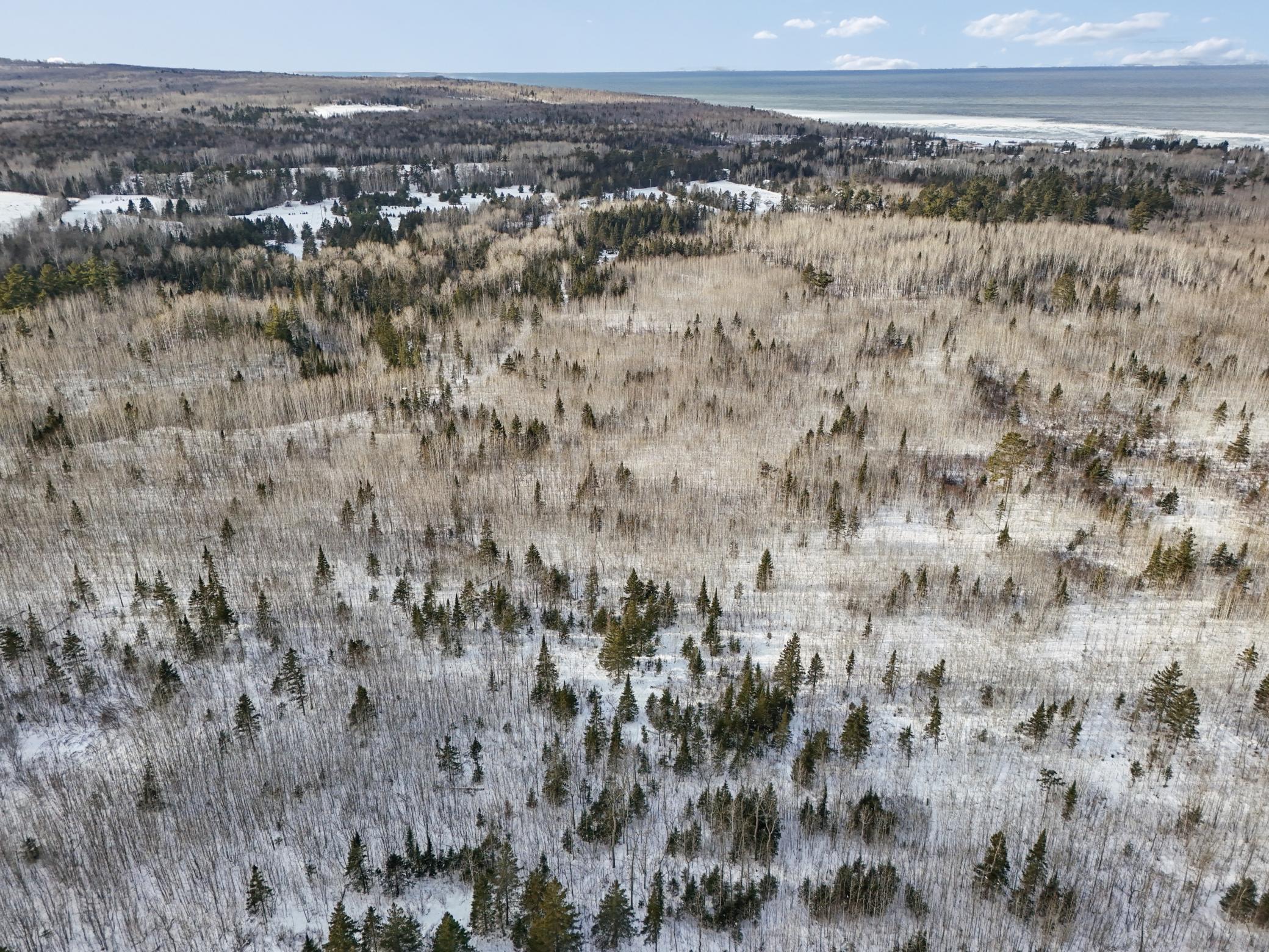 DJI_20260111132140_0122_D.jpg