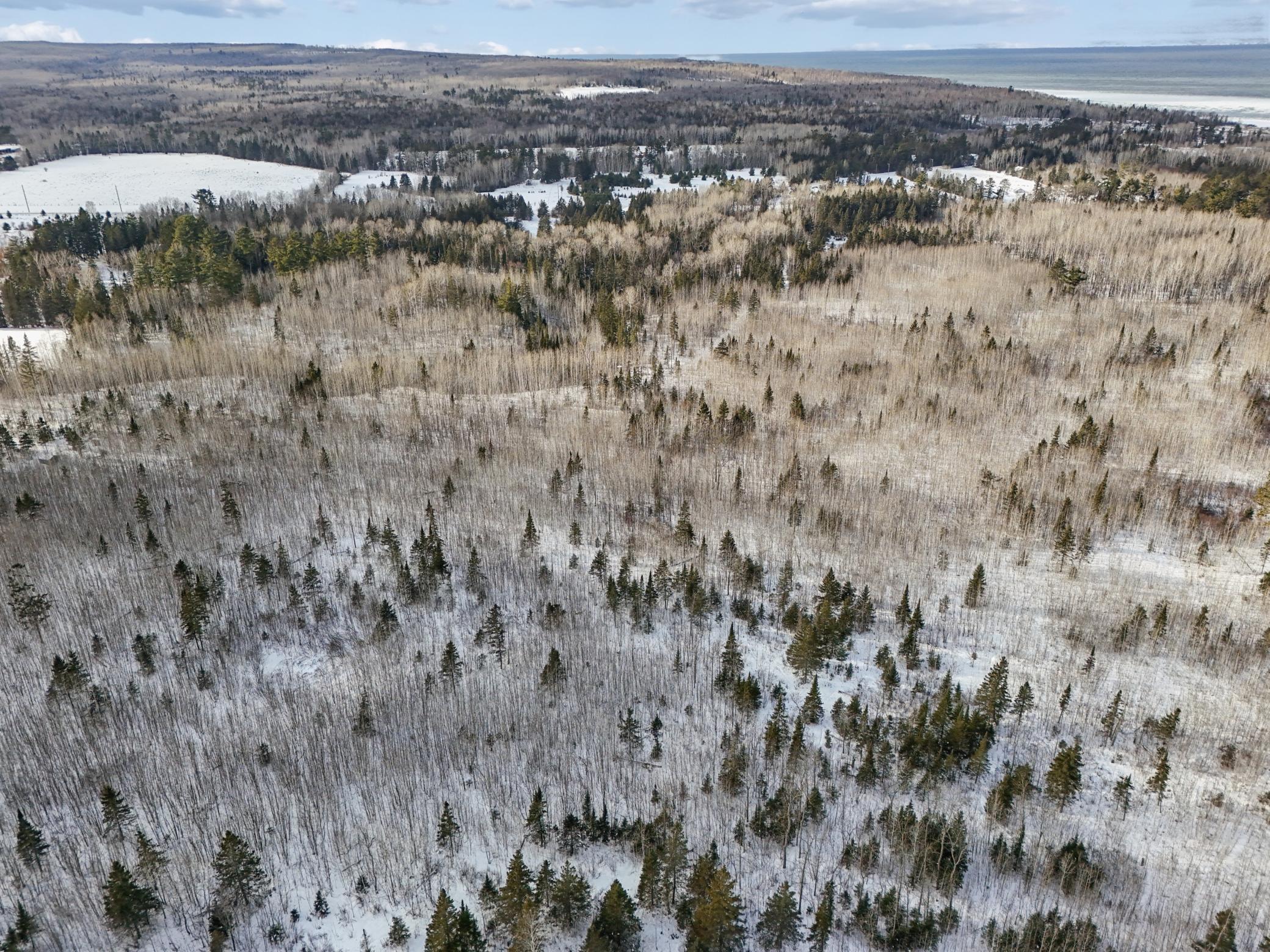 DJI_20260111132134_0121_D.jpg