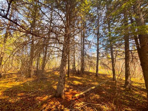 846xx Lenawee Road, Herbster, WI 54844