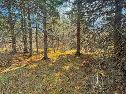 846xx Lenawee Road, Herbster, WI 54844
