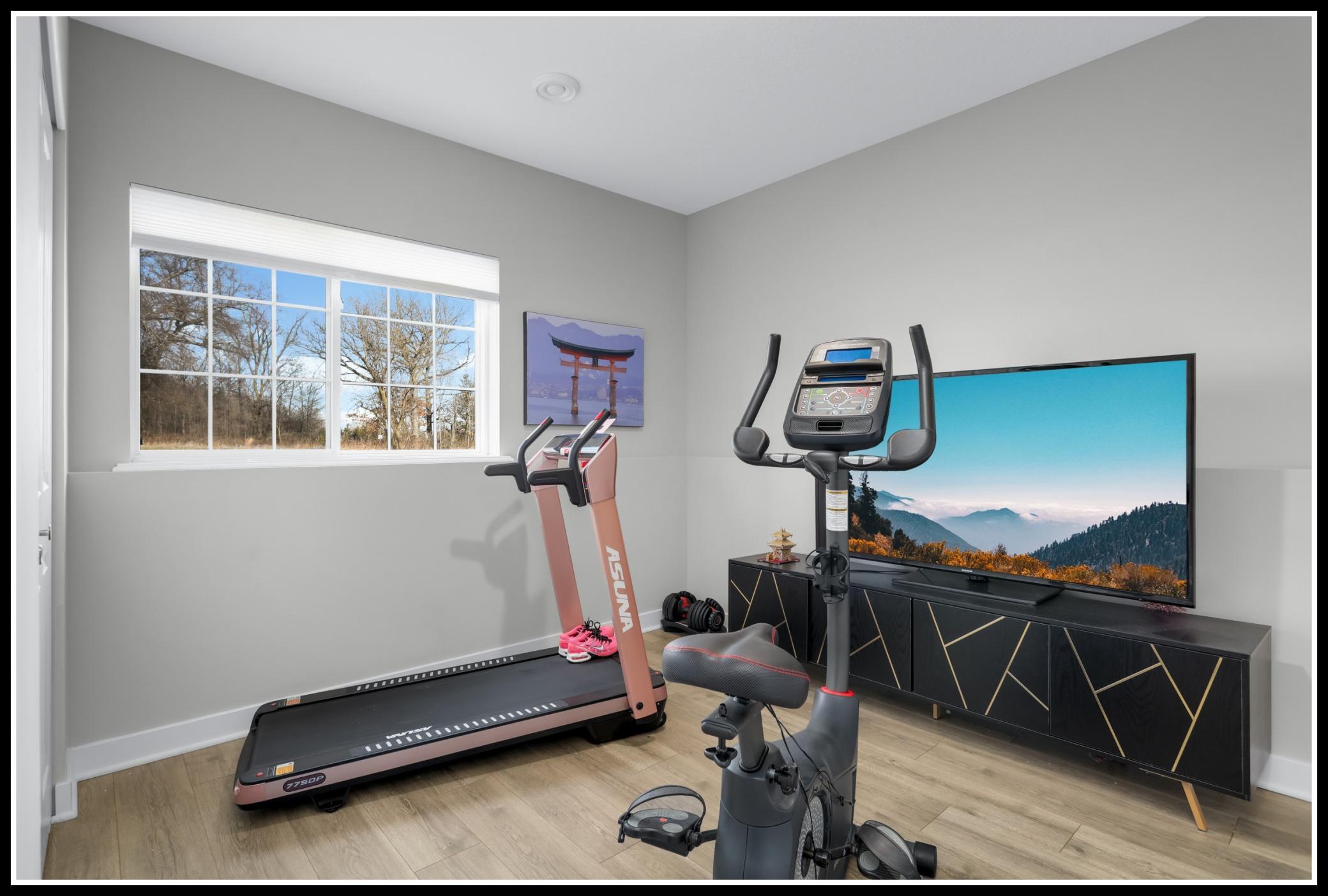 Lower level flex room expands your living space even more!