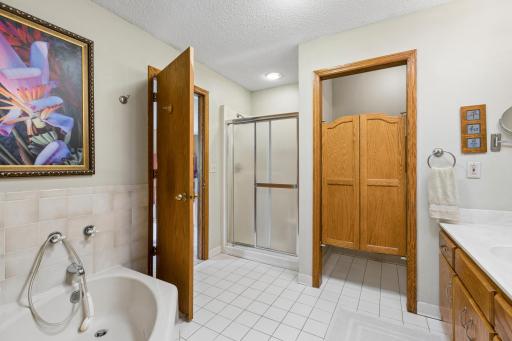 1315 Blackfoot Trail, Long Lake, MN 55356