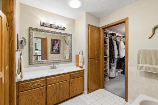 1315 Blackfoot Trail, Long Lake, MN 55356