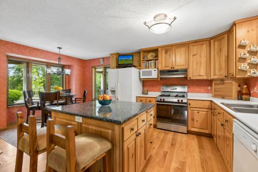 1315 Blackfoot Trail, Long Lake, MN 55356
