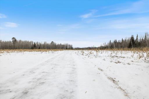 12502 Van Horn Road, Floodwood, MN 55736