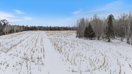 12502 Van Horn Road, Floodwood, MN 55736