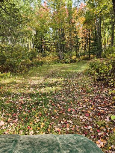 12502 Van Horn Road, Floodwood, MN 55736