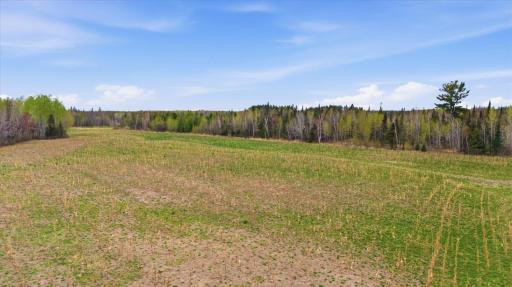12502 Van Horn Road, Floodwood, MN 55736