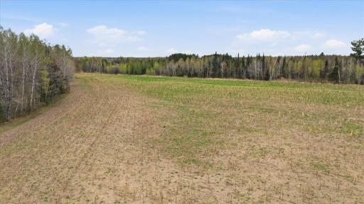 12502 Van Horn Road, Floodwood, MN 55736