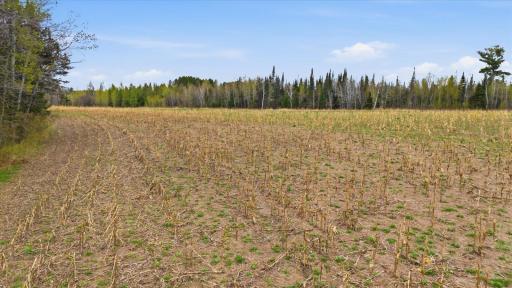 12502 Van Horn Road, Floodwood, MN 55736