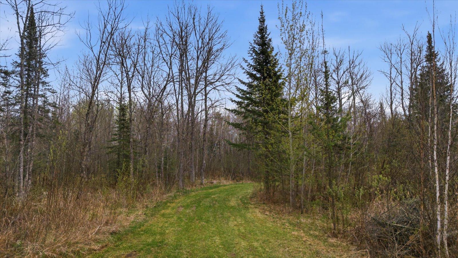 12502VHR-MLS-zlot5.jpg