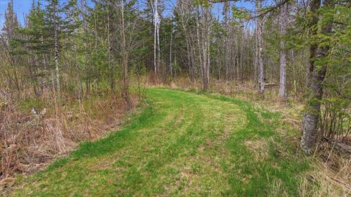 12502 Van Horn Road, Floodwood, MN 55736
