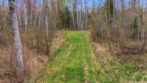 12502 Van Horn Road, Floodwood, MN 55736