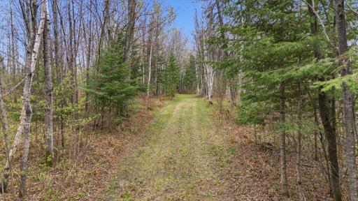 12502 Van Horn Road, Floodwood, MN 55736