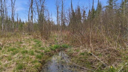 12502 Van Horn Road, Floodwood, MN 55736