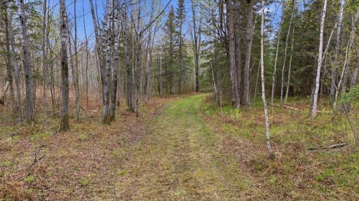 12502 Van Horn Road, Floodwood, MN 55736