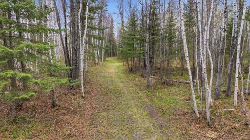 12502 Van Horn Road, Floodwood, MN 55736