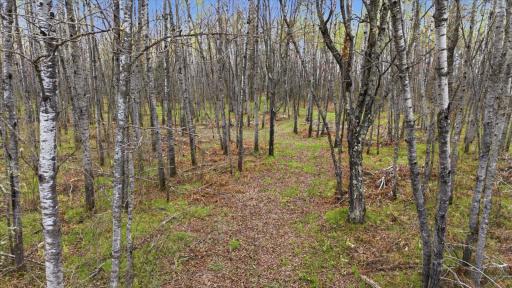 12502 Van Horn Road, Floodwood, MN 55736