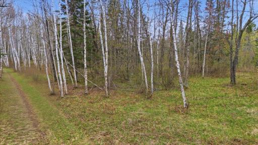 12502 Van Horn Road, Floodwood, MN 55736