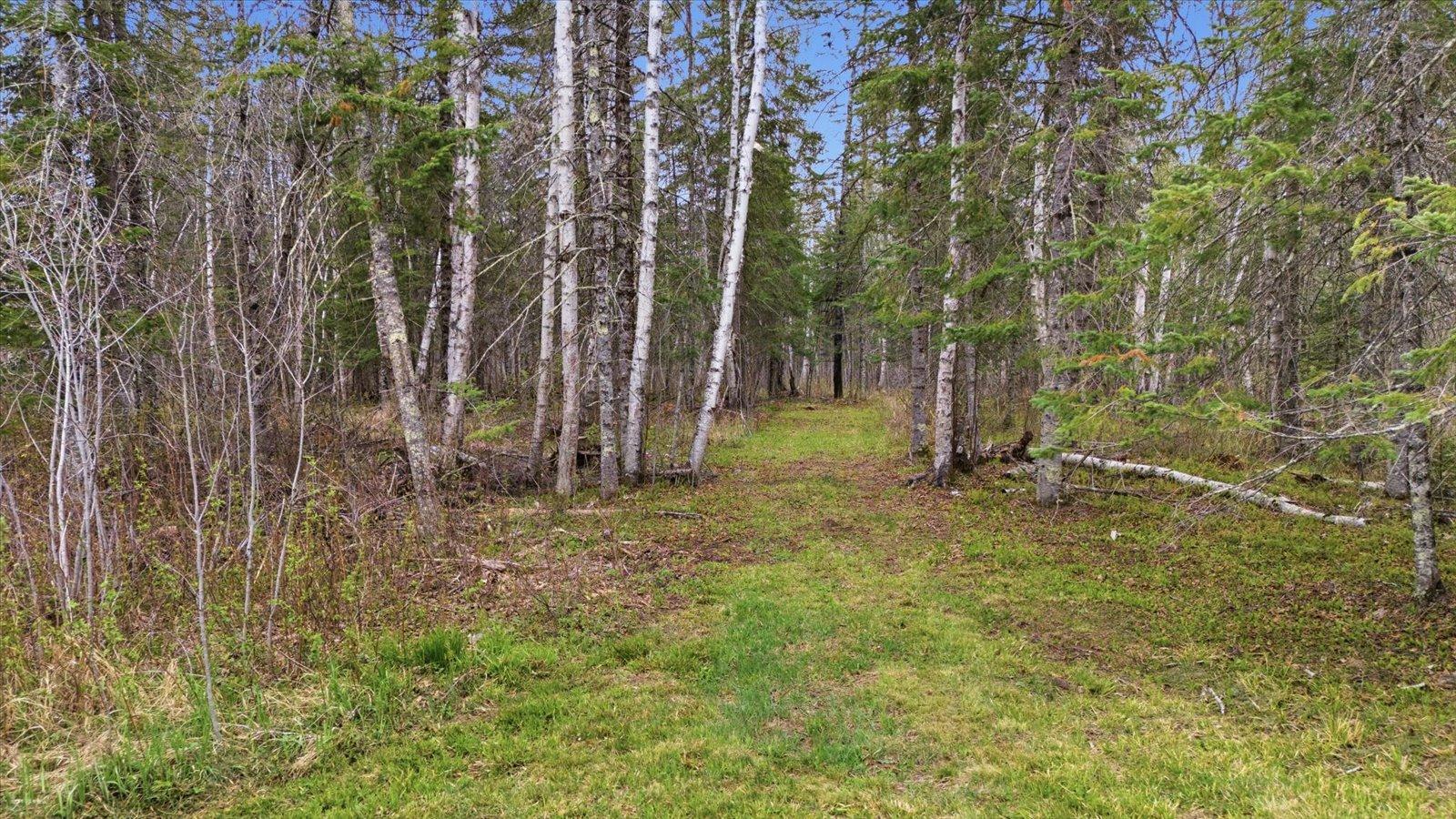 12502VHR-MLS-zlot6.jpg