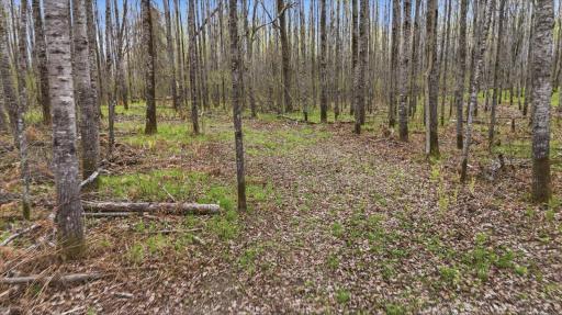 12502 Van Horn Road, Floodwood, MN 55736
