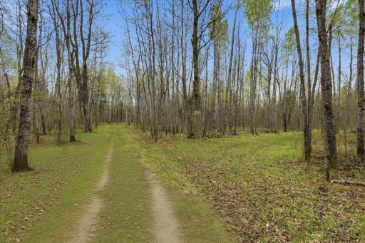 12502 Van Horn Road, Floodwood, MN 55736
