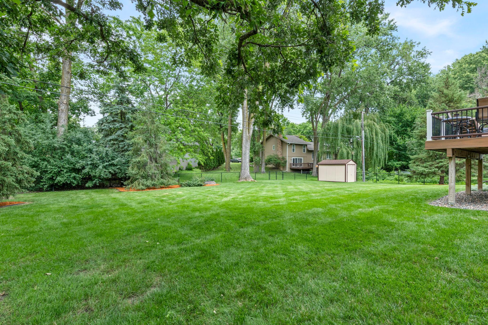 Amazing yard space
