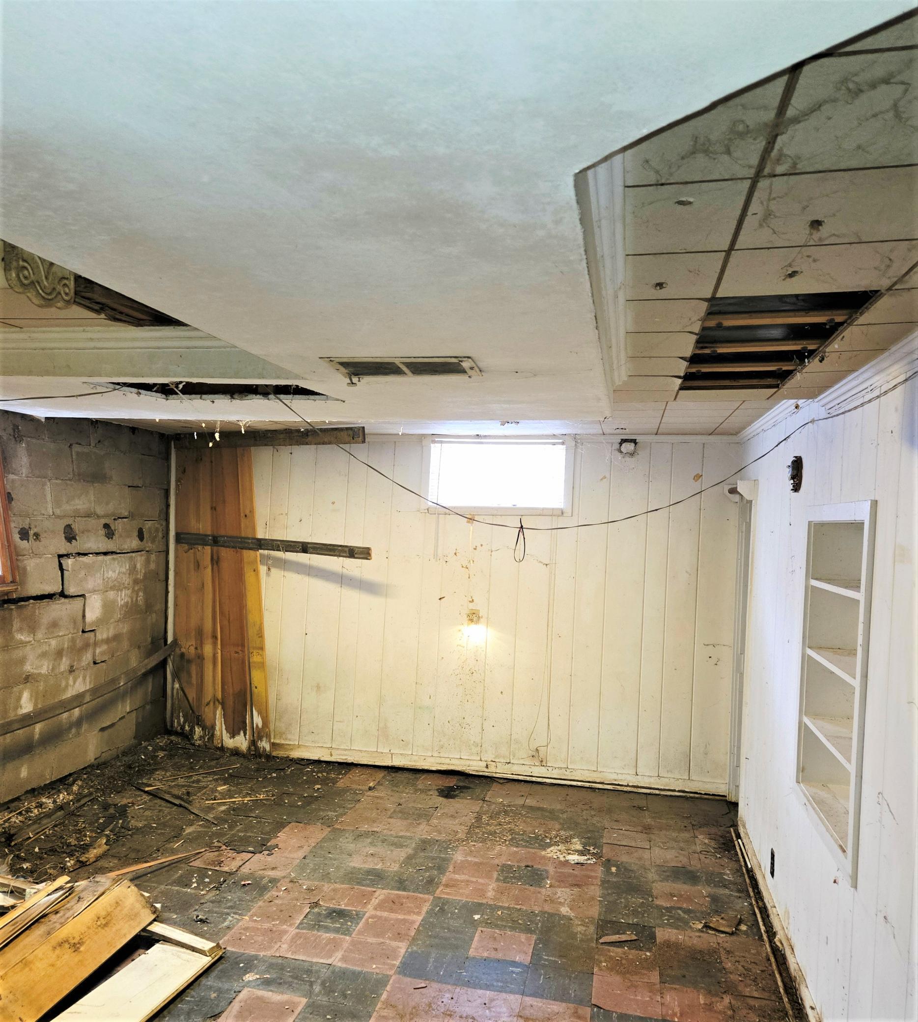 Basement Family Room