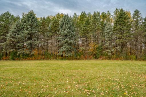 8601 County Road 3 NW, Oronoco, MN 55960