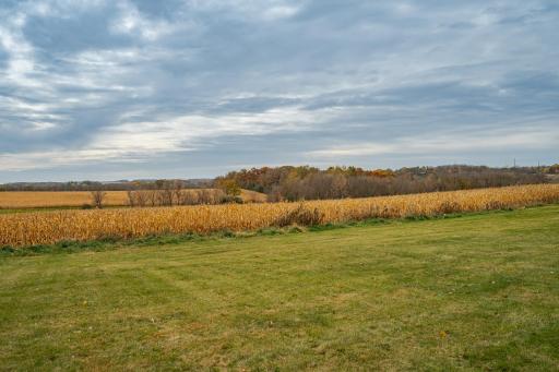 8601 County Road 3 NW, Oronoco, MN 55960