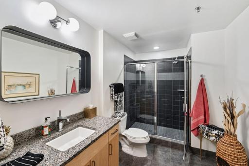 215 10th Avenue S, 112, Minneapolis, MN 55415
