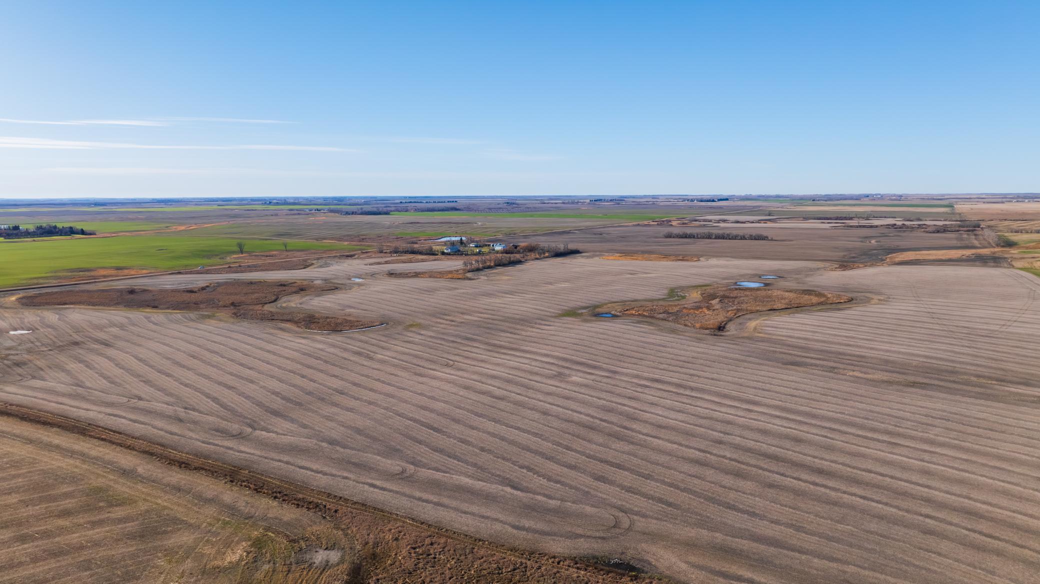 Amdak__Rolla ND (500 Acres)_0007.jpg