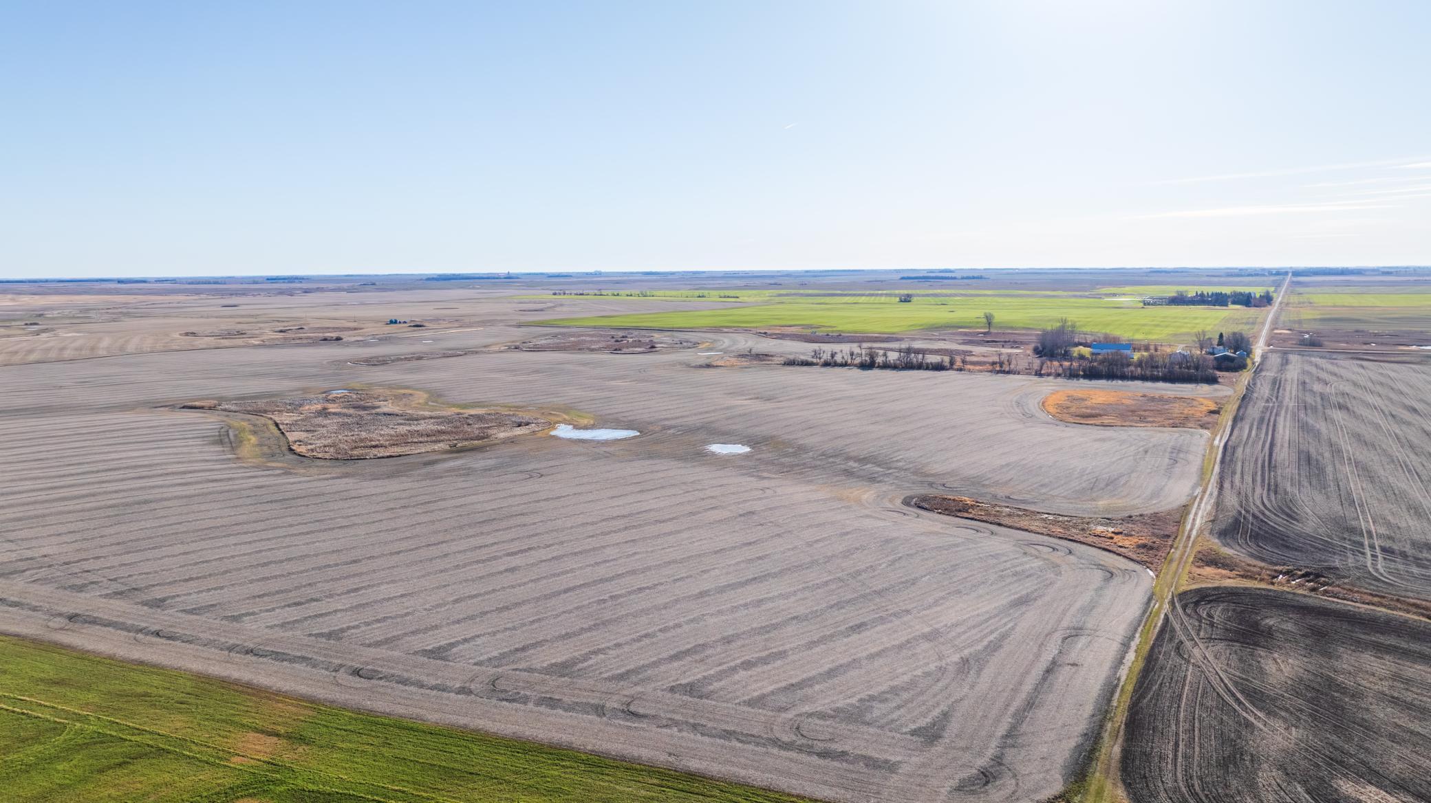 Amdak__Rolla ND (500 Acres)_0016.jpg