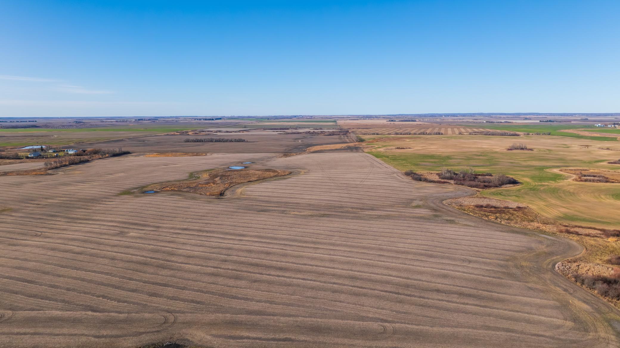 Amdak__Rolla ND (500 Acres)_0006.jpg