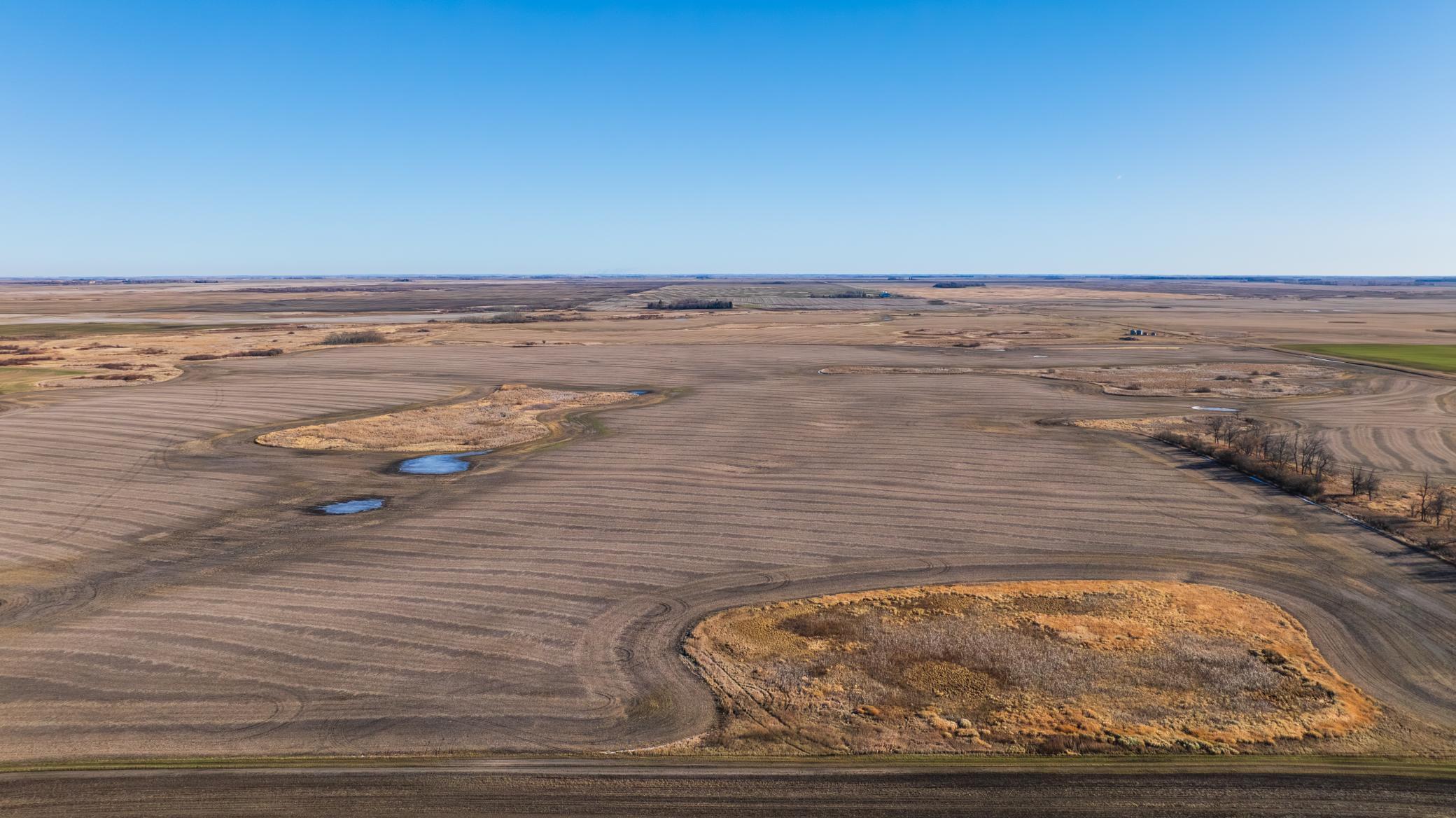 Amdak__Rolla ND (500 Acres)_0017.jpg