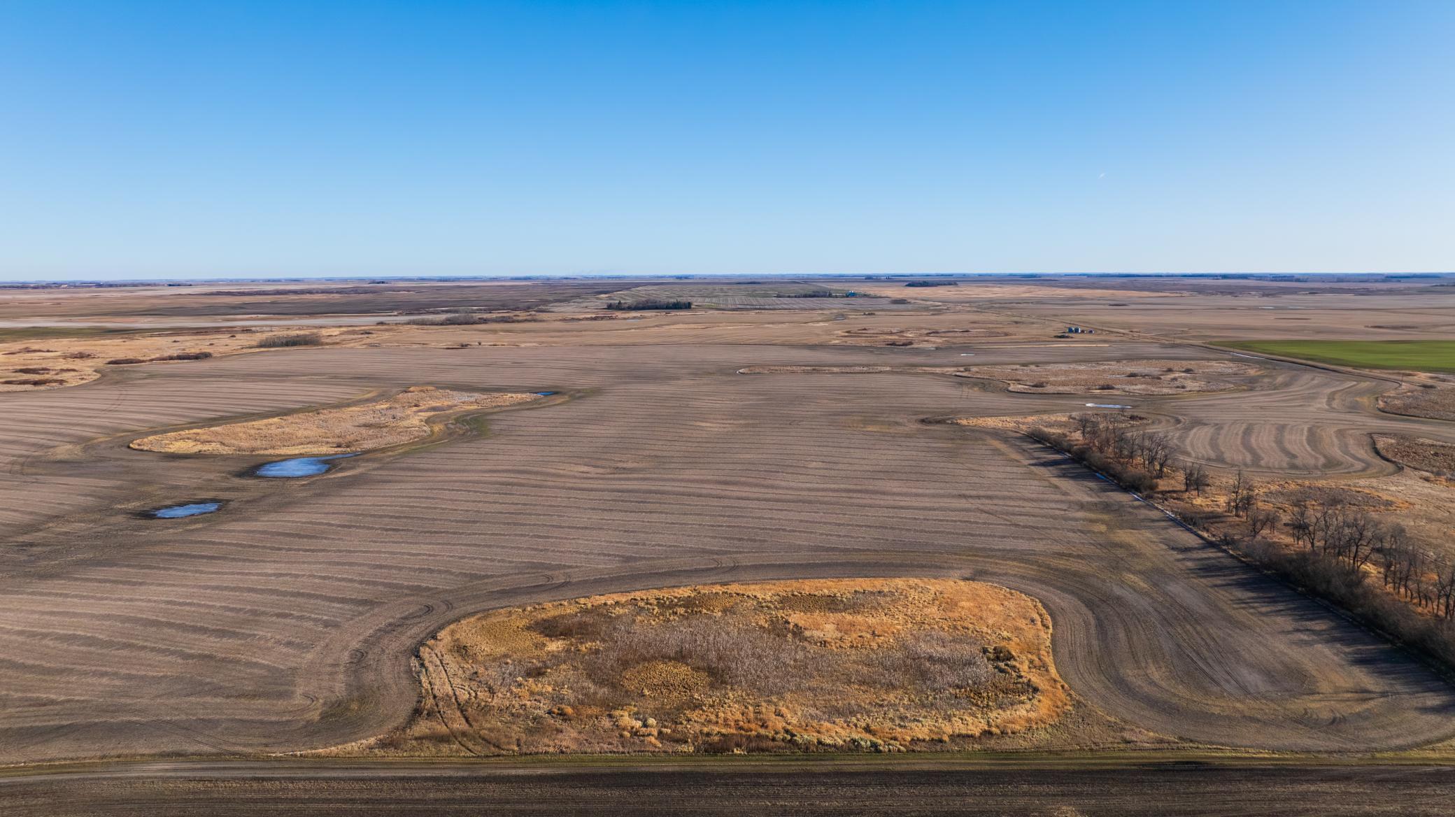 Amdak__Rolla ND (500 Acres)_0018.jpg