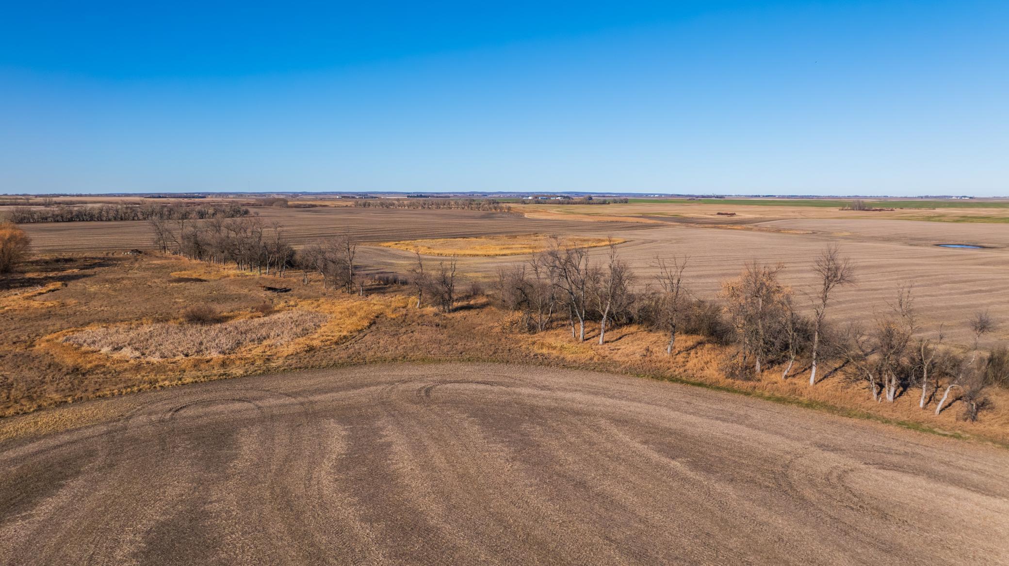 Amdak__Rolla ND (500 Acres)_0024.jpg